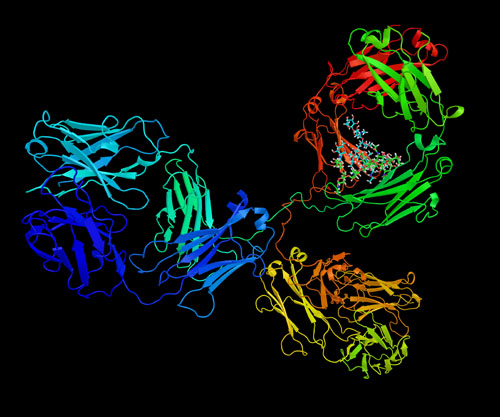 Developing strategies for robust chemistry, manufacturing and controls execution for advanced biologics