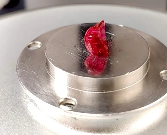 Rice University scientists create hydrogel platform for precision, long-lasting drug delivery