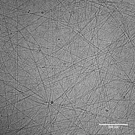 Rice University scientists create hydrogel platform for precision, long-lasting drug delivery